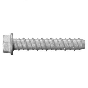 Anchor Screw